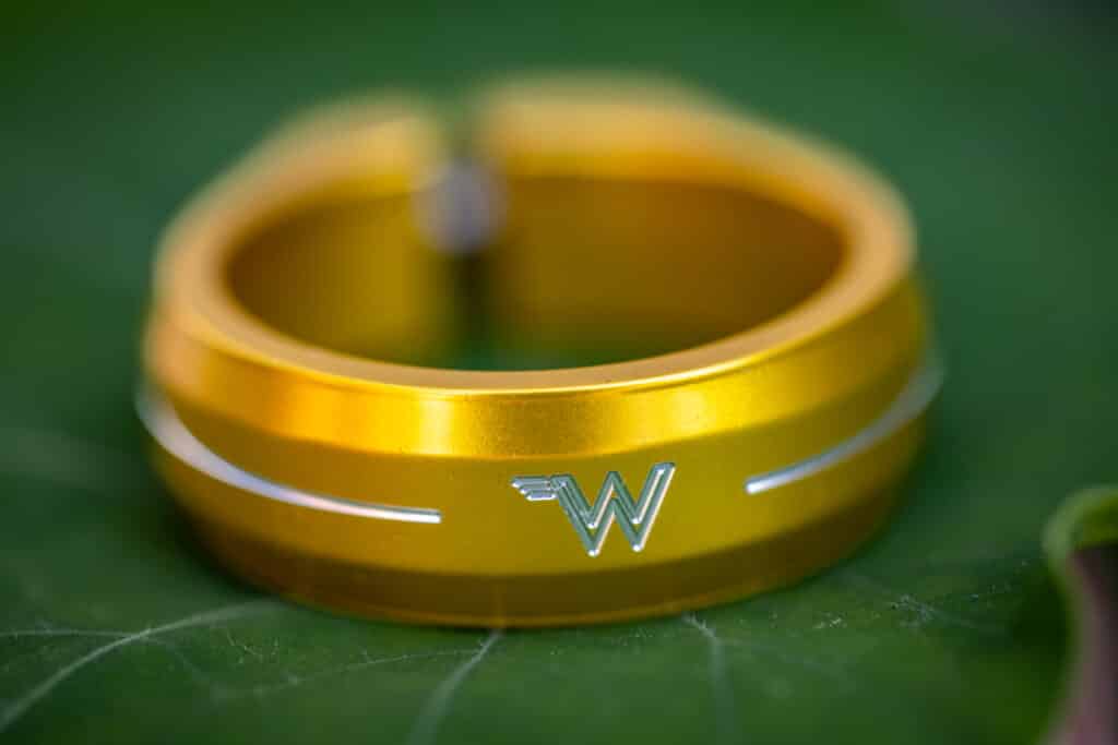 Gold Seat Collar on a leaf.