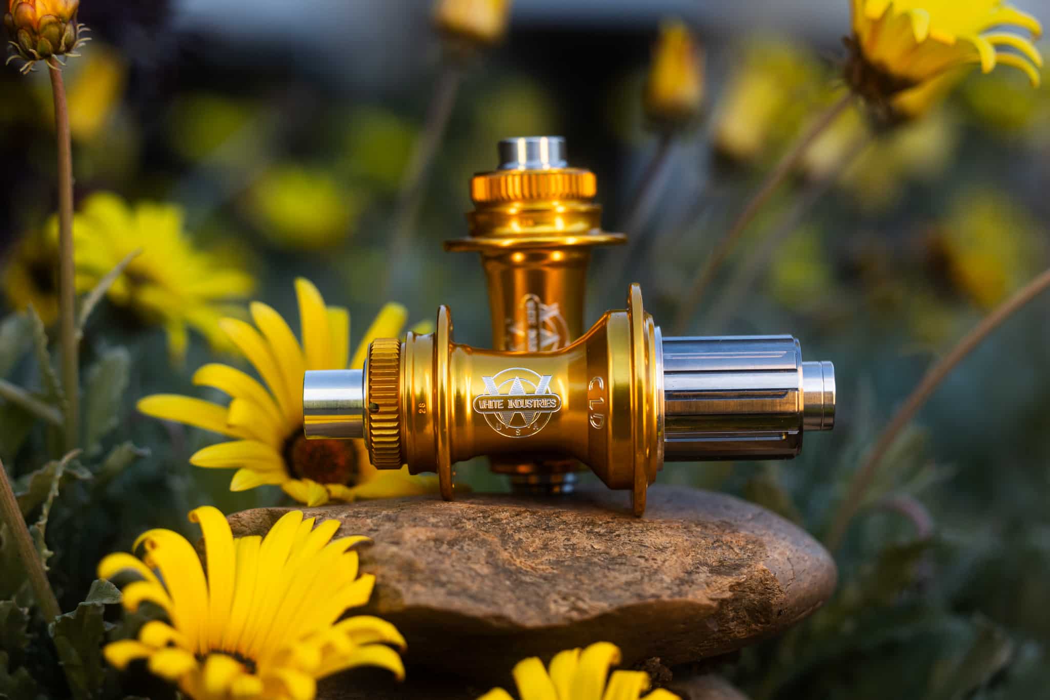 Gold Collection