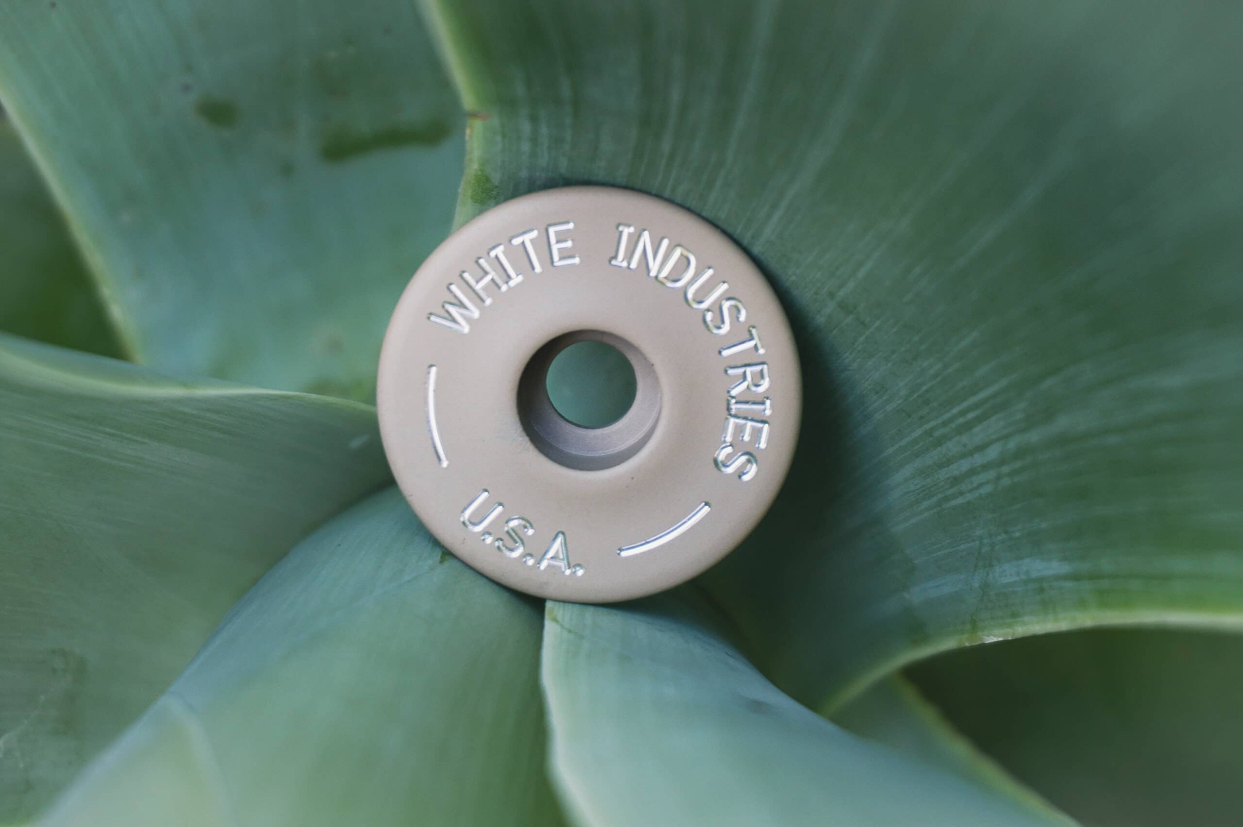 Desert Sage Top Cap